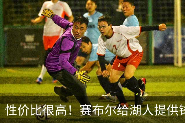 性价比很高！赛布尔给湖人提供锋线防守强度，三分并没有那么拉胯