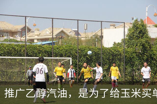 推广乙醇汽油，是为了给玉米买单？