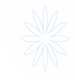 星空体育(中国)官方网站 - 星空体育APP下载 - STARRY
